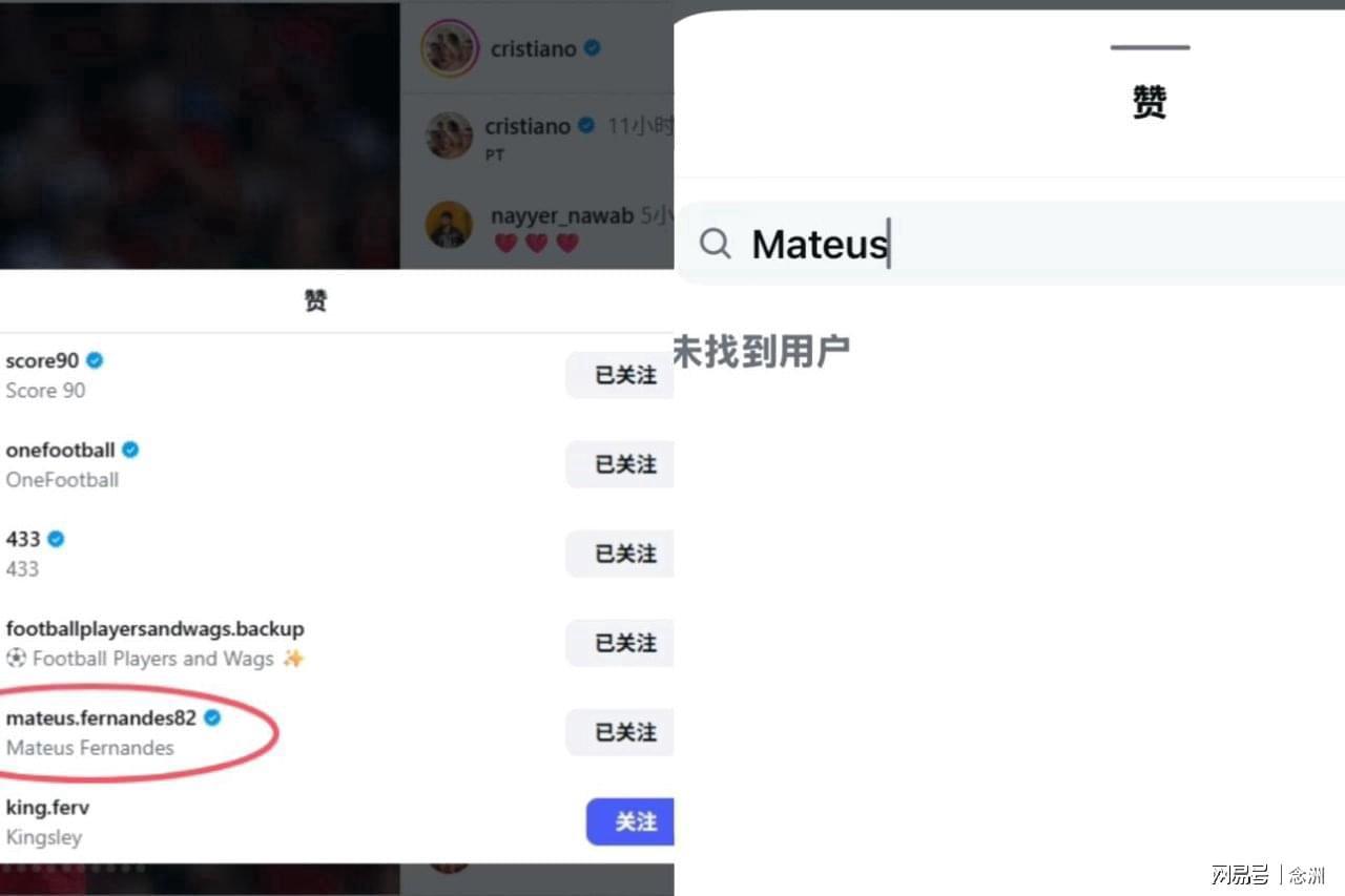 anbo相关图片
